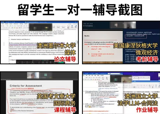 留学生课业辅导案例